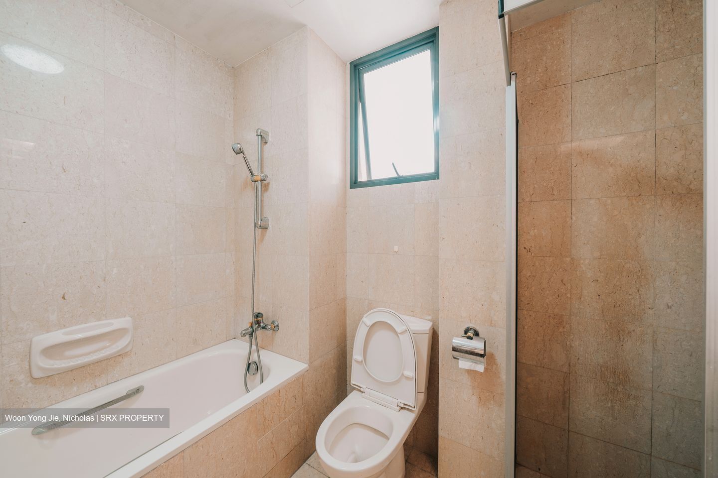 Carissa Park Condominium (D17), Condominium #332510921
